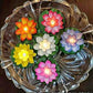 Flameless Lotus Flower Water Sensor LED Diyas (Pack of 6)