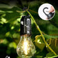 Decorative Hanging Bulb with 3 Modes Tent Lamp for Camping Pack of 1