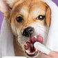Disposable Dental Finger Wipes For Pets