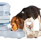 Pet Automatic Water Dispenser